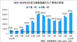 2024年6月賽力斯產銷情況：新能源汽車銷量同比增長372.04%（圖）