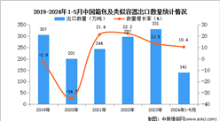 2024年1-5月中國箱包及類似容器出口數據統計分析：出口量141萬