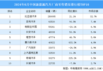 2024年6月中国新能源汽车厂商零售销量排行榜TOP10（附榜单）