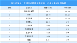 2024年1-6月中國電動摩托車銷量前十企業（集團）排行榜（附榜單）