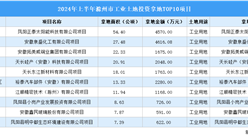 抓項目擴投資 2024年上半年度滁州工業投資TOP10項目土地投資近200公頃