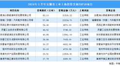 招商觀察 | 2024年上半年安徽這十個工業項目土地投資規模最大