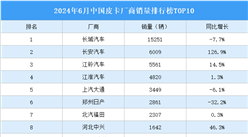 2024年6月中國皮卡廠商銷量排行榜TOP10（附榜單）