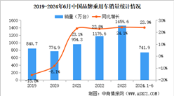 2024年6月中國品牌乘用車銷量情況：品牌乘用車市場份額61.9%（圖）
