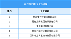 2023年四川省企業100強（附榜單）