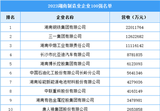 2023湖南制造业企业100强名单（图）