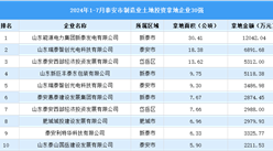 【產業投資要點】2024年1-7月泰安市制造業土地投資30強企業匯總情況
