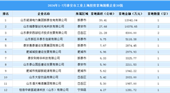 【投資追蹤】2024年1-7月泰安市土地投資方面企業30強投資總額超7億元（圖）