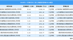2024年1-7月泰安市十大工業土地投資項目拿地面積逾110公頃（圖）