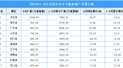 2024年上半年全國各省市平板玻璃產量排行榜