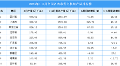 2024年上半年全國各省市發電機組產量排行榜