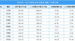 2024年上半年全國各省市交流電動機產量排行榜