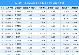2024年上半年中国垂直应用软件行业上市公司业绩排行榜（附榜单）