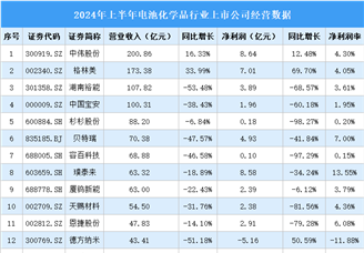 2024年上半年中國電池化學品行業上市公司業績排行榜（附榜單）