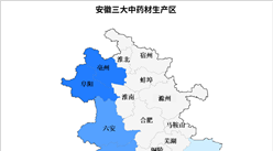 2024年安徽省中醫藥產業布局分析（圖）