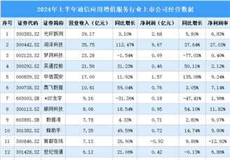 2024年上半年中國通信應用增值服務行業上市公司業績排行榜（附榜單）