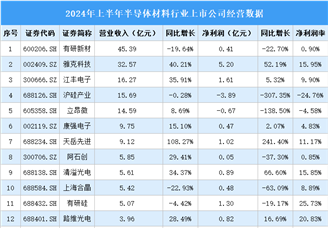 2024年上半年中国半导体材料行业上市公司业绩排行榜（附榜单）