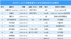 2024年1-8月中國數據服務行業私募股權投資盤點（附投融資事件匯總）
