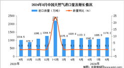 2024年8月中國天然氣進口數據統計分析：進口量同比增長0.1%