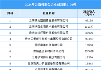 2024年云南省非公企业创新能力20强企业名单（附榜单）