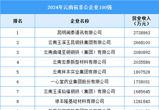 2024年云南省非公企业100强企业名单（附榜单）
