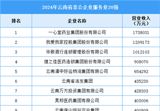 2024年云南省非公企业服务业20强企业名单（附榜单）