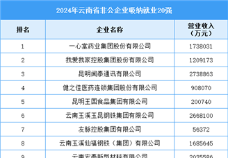 2024年云南省非公企业吸纳就业20强企业名单（附榜单）