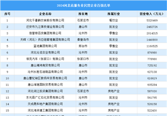 2024年河北省服务业民营百强名单（附榜单）