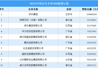 2024中国民营企业500强排行榜（附完整榜单）
