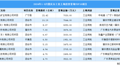 2024年1-9月肇慶市十大工業土地投資項目拿地面積逾80公頃（圖）