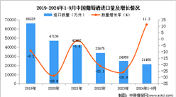 2024年1-9月中國葡萄酒進口數據統計分析：進口量同比增長11.3%