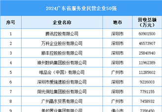 2024廣東省服務業民營企業50強（附榜單）
