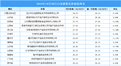 2024年10月31日全國各地最新白條豬價格行情走勢分析