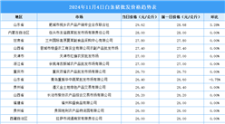 2024年11月5日全國各地最新白條豬價格行情走勢分析