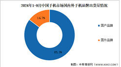 2024年1-9月中國手機行業國內外品牌出貨量及上市情況分析（圖）