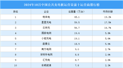 2024年10月中國公共充電樁運營量前十運營商排行榜（附榜單）