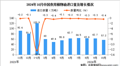 2024年10月中國食用植物油進口數據統計分析：進口量同比下降0.4%