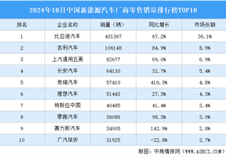 2024年10月中國新能源汽車廠商零售銷量排行榜TOP10（附榜單）