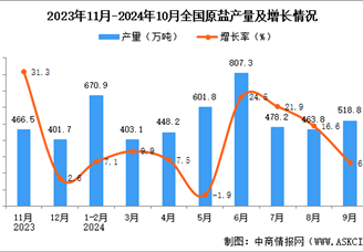 2024年10月全國原鹽產量數據統計分析