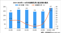 2024年1-10月中國棉花進口數據統計分析：進口量同比增長71.4%