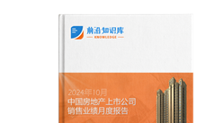 2024年10月中國房地產行業經濟運行情況月度報告