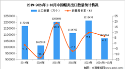 2024年1-10月中國帽類出口數據統計分析：出口量同比增長6.5%