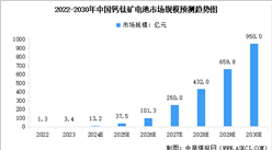 2025年中國鈣鈦礦電池行業市場前景預測研究報告（簡版）