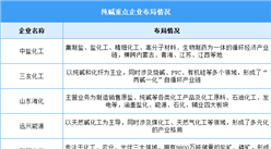2025年中國純堿產量及重點企業預測分析（圖）