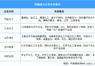 2025年中國純堿產量及重點企業預測分析（圖）