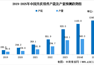 2025年中國光伏組件行業市場前景預測研究報告（簡版）