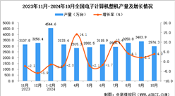 2024年10月全國電子計算機整機產量數據統計分析
