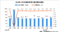 2024年11月中國肉類進口數據統計分析：進口量58.1萬噸