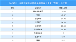 2024年1-11月中國電動摩托車銷量前十企業（集團）排行榜（附榜單）