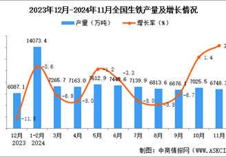 2024年11月全國生鐵產量數據統計分析